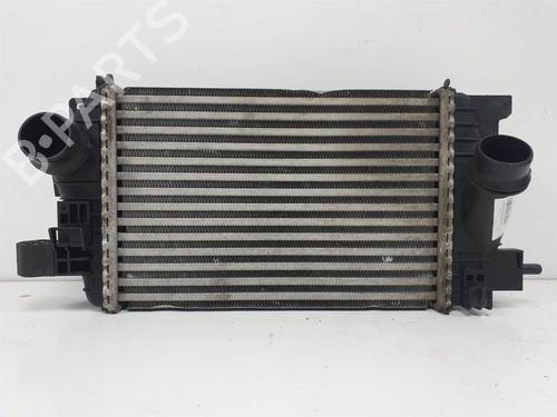 Used Intercooler Intercooler OPEL MERIVA B MPV (S10) 1.3 CDTI (75) (75 hp) 10925018 10925018