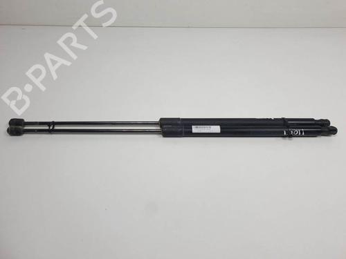 Used Tailgate lift support Tailgate lift support FORD KUGA I [2008-2012] 13956718 13956718