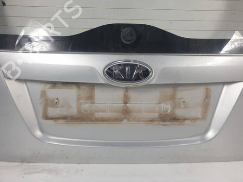 Used Tailgate Tailgate 39196299 39196299
