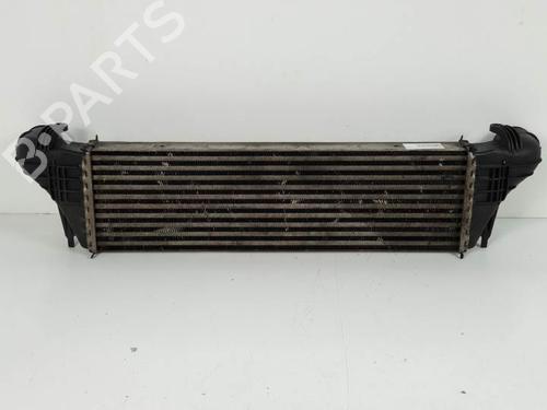 Intercooler BMW X5 (E53) 3.0 d | BP6840799M30 