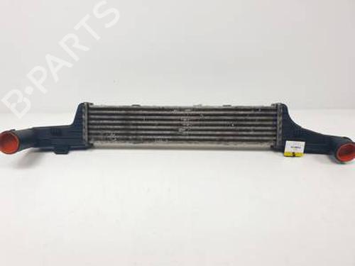 Used Intercooler MERCEDES-BENZ E-CLASS (W210) E 220 CDI (210.006) (125 hp) 31033700