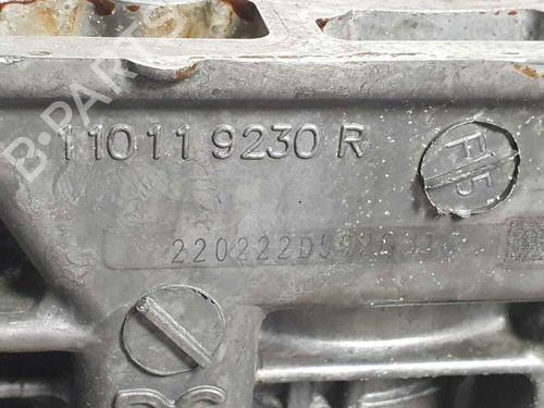 Engine (For Parts) DACIA JOGGER (RK_) 1.0 TCe 110 (RKMD) | BP25810258M64 