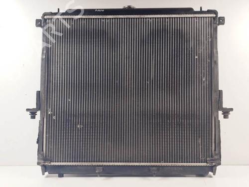 water-radiator-nissan-pathfinder-iii-r51-2005-25137659 main image
