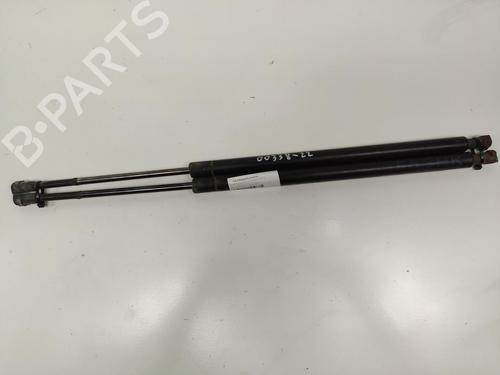 Used Tailgate lift support BMW X5 (E53) 3.0 i (231 hp) 13955095