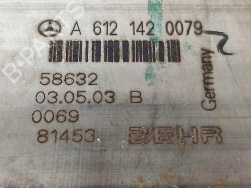 Egr MERCEDES-BENZ M-CLASS (W163) ML 270 CDI (163.113) | BP13955379M69 