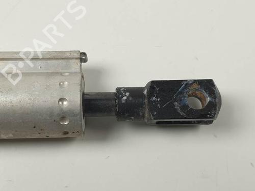 Tailgate lift support FORD FOCUS II Convertible 2.0 | BP25931752C138 