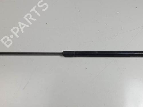 hood-lift-support-renault-megane-iii-hatchback-bz01_-b3_-2008-28448073 main image