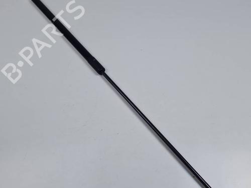 hood-lift-support-audi-a4-b8-avant-8k5-2007-2008-2009-2010-2011-2012-2013-2014-2015-2016-2017-30313429 main image