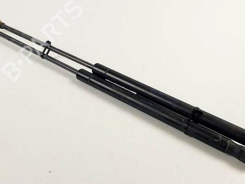 Used Tailgate lift support SEAT IBIZA III (6L1) 1.4 TDI (70 hp) 25257823