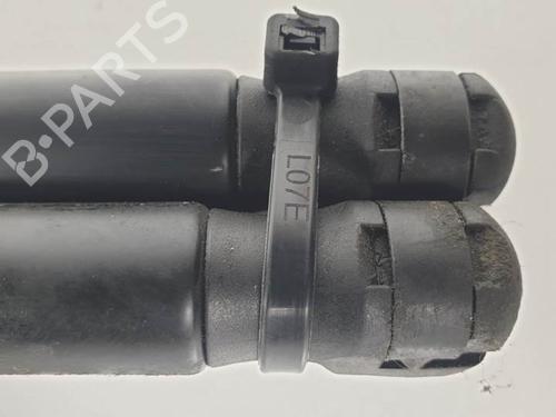 Tailgate lift support RENAULT MEGANE II Coupé-Cabriolet (EM0/1_) 1.9 dCi | BP13955623C138 