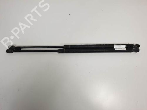 Used Tailgate lift support LAND ROVER RANGE ROVER SPORT I (L320) 2.7 D 4x4 (190 hp) 18653987