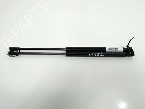 Hood lift support LAND ROVER RANGE ROVER SPORT I (L320) 3.0 D 4x4 | BP13954346C139 