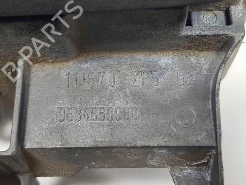 Rear right exterior door handle CITROËN C3 II (SC_) 1.4 HDi 70 (SC8HZC, SC8HR0, SC8HP4) | BP11507244C130 