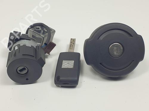 Used Electronic module CITROËN C5 III (RD_) 2.0 HDi (RDRHR8) (138 hp) 24990130