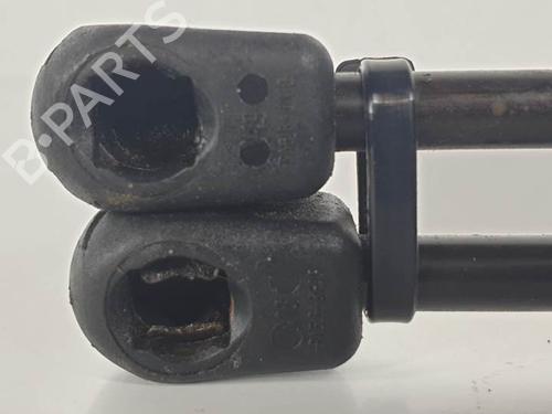 Tailgate lift support RENAULT MEGANE II Coupé-Cabriolet (EM0/1_) 1.9 dCi | BP13955623C138 