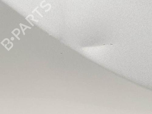 Left front door OPEL CROSSLAND X / CROSSLAND (P17, P2QO) 1.2 (75) | BP24340917C2 