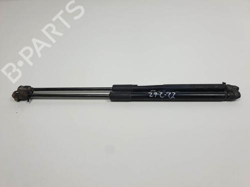Used Tailgate lift support Tailgate lift support RENAULT CLIO III Grandtour (KR0/1_) 1.5 dCi (75 hp) 13954998 13954998