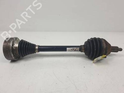 BP31656745M38 main image