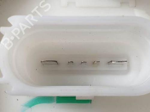 Fuel pump SEAT IBIZA IV (6J5, 6P1) 1.2 | BP19137256M76 