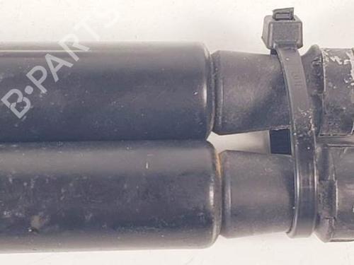 Tailgate lift support NISSAN QASHQAI I (J10, NJ10)  | BP17971140C138 