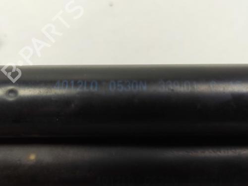 Tailgate lift support BMW X5 (E53) 3.0 i | BP13955095C138 