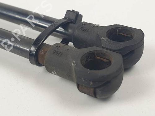 Tailgate lift support LAND ROVER DISCOVERY III (L319) 2.7 TD 4x4 | BP25144365C138 
