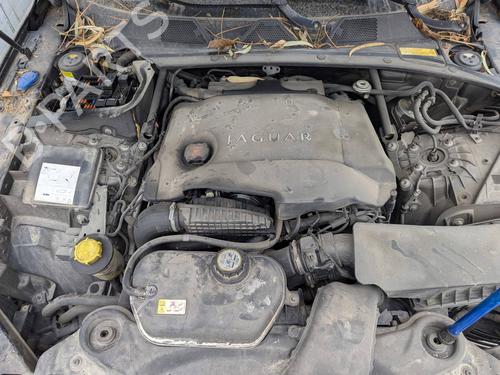 - Image 7