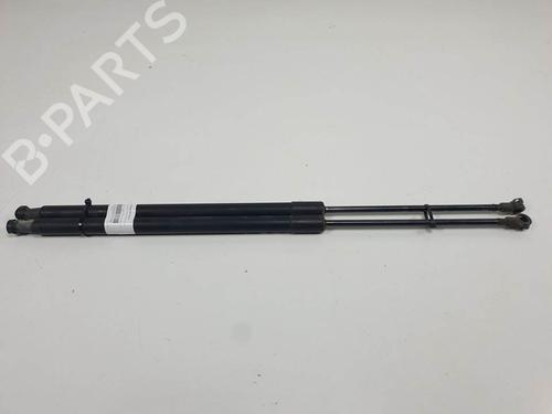 Used Tailgate lift support Tailgate lift support NISSAN X-TRAIL II (T31) 2.0 dCi 4x4 (150 hp) 18654118 18654118
