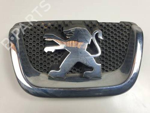 Grill PEUGEOT 407 (6D_) 2.0 HDi 135 (6DRHRH, 6DRHRE, 6DRHRG, 6DRHRJ) (136 hp) 30633363