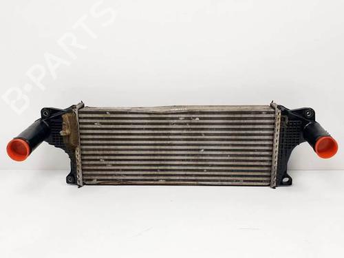 Ladeluftkühler für TATA ARIA [2010-2025]  18464581