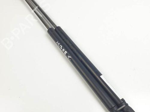 Used Tailgate lift support RENAULT MEGANE II Coupé-Cabriolet (EM0/1_) 1.9 dCi (120 hp) 25139014