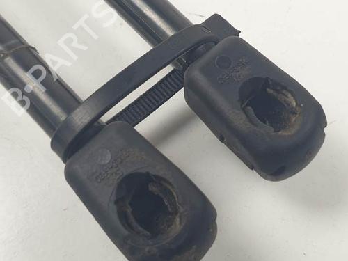 Tailgate lift support FORD TOURNEO COURIER B460 MPV 1.0 EcoBoost | BP24930625C138 