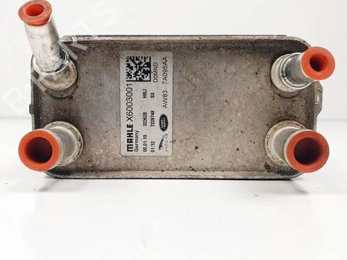 Oil radiator SEAT LEON (5F1)  | BP17062856M33 