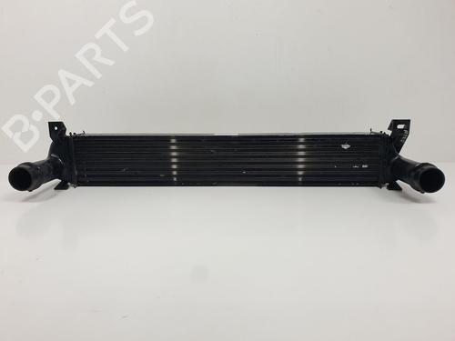 Frankberg Spanrol riemspanner compatibel met Nitro Wrangler III JK 2.8L