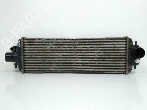 Used Intercooler RENAULT TRAFIC II Bus (JL) 2.5 dCi 135 (JL0D) (135 hp) 8111298