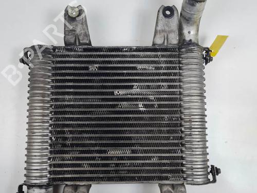 Intercooler KIA CARNIVAL II (GQ) 2.9 TDi | BP27978059M30 