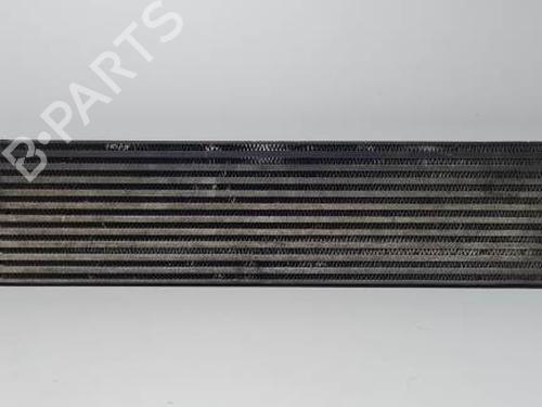 Used Intercooler NISSAN X-TRAIL II (T31) 2.0 dCi (150 hp) 29175649