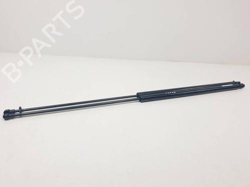 tailgate-lift-support-seat-toledo-iii-5p2-2004-2005-2006-2007-2008-2009-30959276 main image