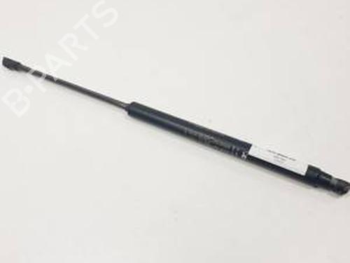 Used Tailgate lift support FIAT GRANDE PUNTO (199_) 1.4 T-Jet (199AXM1A, 199BXM1A, 199BXN1A) (120 hp) 30998535