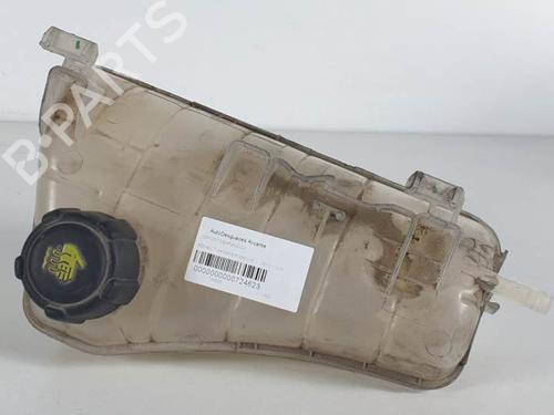 Used Expansion tank RENAULT KANGOO BE BOP (KW0/1_) 1.5 dCi 75 (75 hp) 11807509