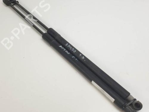 Used Tailgate lift support SKODA FABIA II (542) 1.4 TDI (70 hp) 25611915