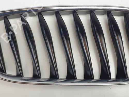 Used Grille BMW Z4 Roadster (E85) 2.2 i (170 hp) 25143702