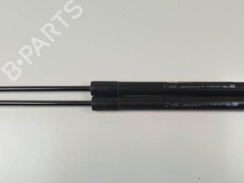 tailgate-lift-support-renault-clio-iv-bh_-2012-2013-2014-2015-2016-2017-2018-2019-2020-2021-24930307 main image
