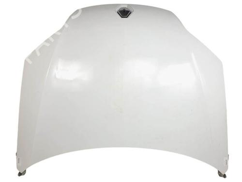 Used Hood Hood RENAULT LAGUNA III (BT0/1) 2.0 dCi (BT01, BT08, BT09, BT0E, BT0K, BT12, BT1C, BT1D,... (150 hp) 18531914 18531914