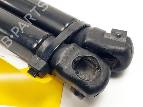 Tailgate lift support AUDI A3 (8P1) 1.9 TDI | BP24499879C138 