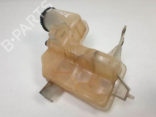 Expansion tank LAND ROVER RANGE ROVER SPORT I (L320) 2.7 D 4x4 | BP9761560C120 