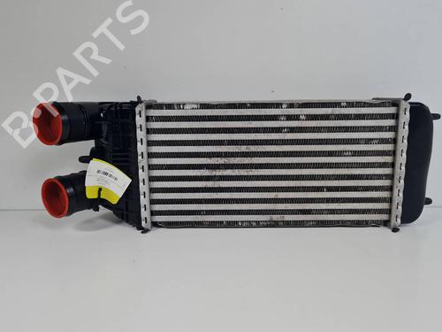 Intercooler Intercooler PEUGEOT 2008 I (CU_) 1.6 BlueHDi (116 hp) 34512235 34512235