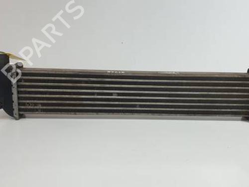 Used Intercooler RENAULT KANGOO (KC0/1_) 1.5 dCi (KC07) (65 hp) 30450467