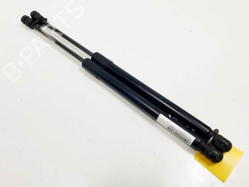 tailgate-lift-support-renault-megane-iii-hatchback-bz01_-b3_-2008-24984275 main image