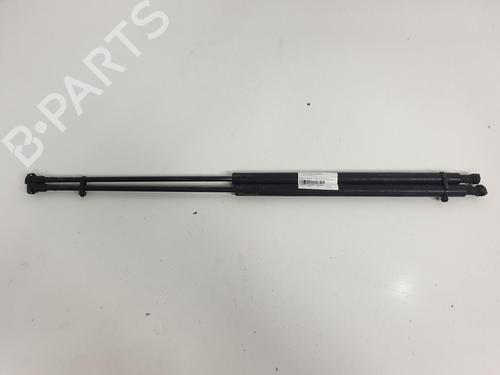 Used Hood lift support PEUGEOT 306 (7B, N3, N5) 2.0 HDI 90 (90 hp) 13953391